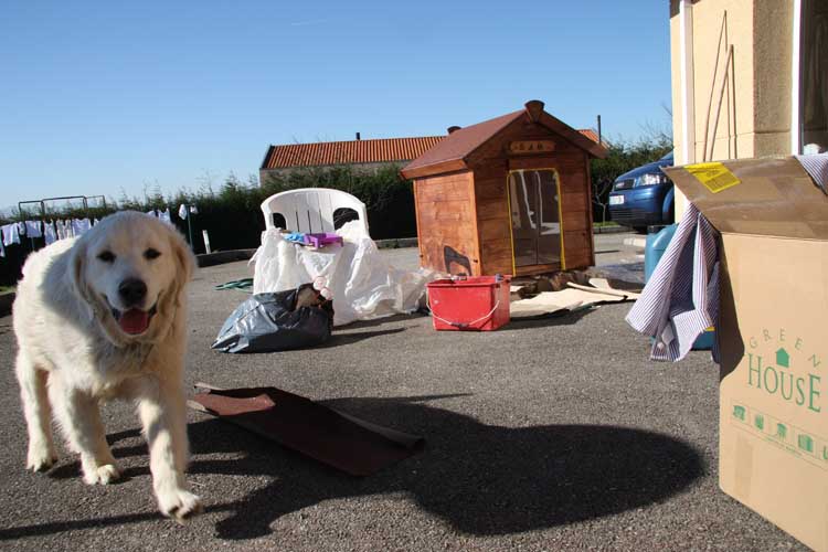 07 DIY: Casas de aperos y caseta de perro